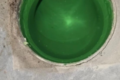 WhatsApp-Image-2026-01-15-at-19.08.25-4