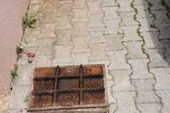 WhatsApp-Image-2026-01-15-at-20.07.16-6